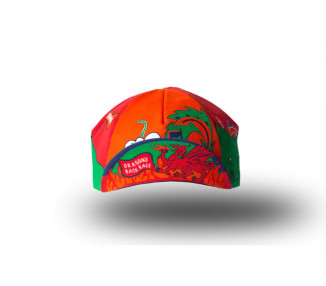 INSANE INSIDE TRAIL CAP NEW! DRAGON´S BACK TRAIL