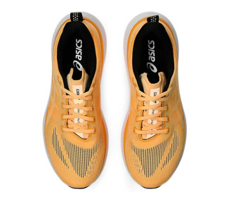 ASICS GLIDERIDE MAX 2