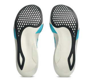 ASICS METASPEED EDGE TOKYO
