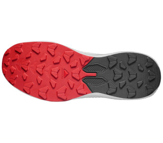 SALOMON PULSAR