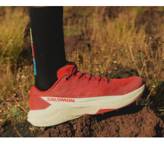 SALOMON PULSAR