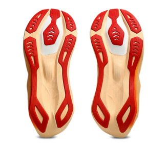 ASICS NOVABLAST 6