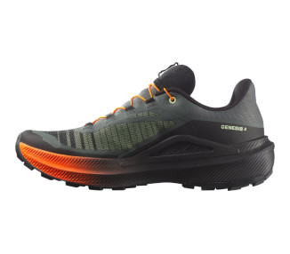 SALOMON GENESIS 2