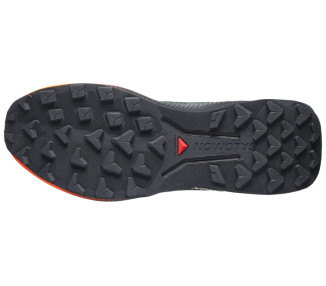 SALOMON GENESIS 2