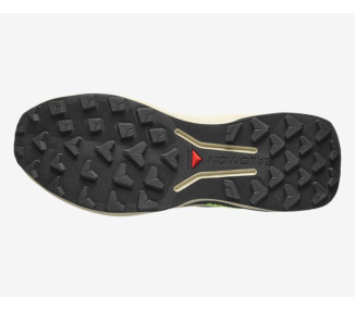 SALOMON GENESIS 2