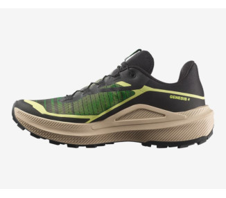 SALOMON GENESIS 2
