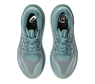 ASICS GT-2000 15
