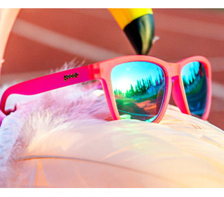 GOODR FLAMINGOS ON A BOOZE CRUISE