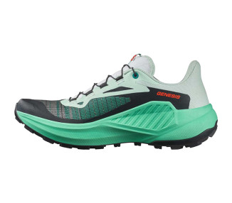 SALOMON GENESIS W